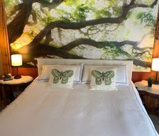United States New York Cape Vincent vacation rental compare prices direct by owner 11412335