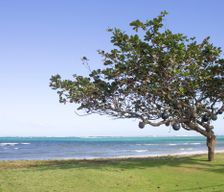 United States Hawaii Hauula vacation rental compare prices direct by owner 2015267