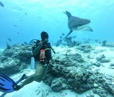 Maldives  Fuvahmulah vacation rental compare prices direct by owner 36415195