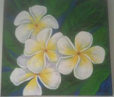 Northern Mariana Islands Saipan Chalan Kanoa III vacation rental compare prices direct by owner 32272308