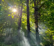 United States North Carolina Waynesville vacation rental compare prices direct by owner 13264873