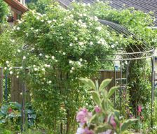 Germany Baden-Württemberg Neuenbürg vacation rental compare prices direct by owner 24965427