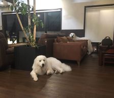 Japan 広島県 Hatsukaichi vacation rental compare prices direct by owner 6520471