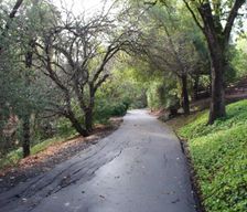 United States California Walnut Creek vacation rental compare prices direct by owner 857990