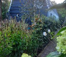 Netherlands Utrecht Zeist vacation rental compare prices direct by owner 23803739