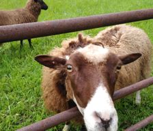 United States Missouri Stover vacation rental compare prices direct by owner 2081970