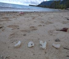 United States Hawaii Hauula vacation rental compare prices direct by owner 27843232