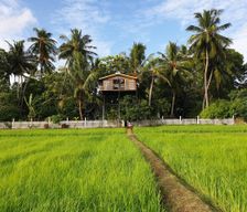 Sri Lanka North Central Province Anuradhapura vacation rental compare prices direct by owner 8596115