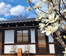 South Korea North Gyeongsang Province Gyeongju-si vacation rental compare prices direct by owner 8774377