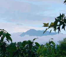 Taiwan Pingtung Yanpu vacation rental compare prices direct by owner 8596471