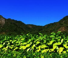 Taiwan Kaohsiung City Meinong District vacation rental compare prices direct by owner 7726637