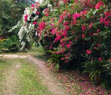 Northern Mariana Islands Saipan Garapan vacation rental compare prices direct by owner 8786585