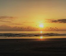 United States Florida Port Orange vacation rental compare prices direct by owner 207475