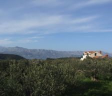 Croatia Splitsko-dalmatinska županija Pučišća vacation rental compare prices direct by owner 6305303