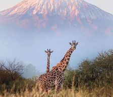 Tanzania Kilimanjaro Region Machame vacation rental compare prices direct by owner 13623284