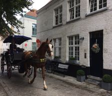 Belgium Vlaanderen Bruges vacation rental compare prices direct by owner 4002744