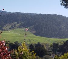 United States California Carmel-by-the-Sea vacation rental compare prices direct by owner 1967181