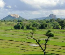 Sri Lanka Central Province Sigiriya vacation rental compare prices direct by owner 14382295