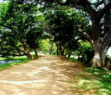 Sri Lanka Southern Province Tissamaharama vacation rental compare prices direct by owner 6590178