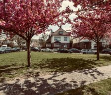 Netherlands Noord-Holland Haarlem vacation rental compare prices direct by owner 32455914