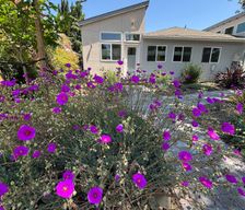 United States California Mountain View vacation rental compare prices direct by owner 34284615