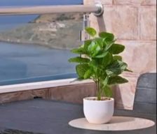 Algeria Tizi Ouzou Province Tigzirt vacation rental compare prices direct by owner 37388121