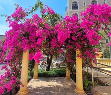 Vietnam Kien Giang Phu Quoc vacation rental compare prices direct by owner 29060183