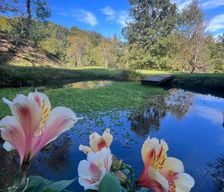Slovenia Šentjur Planina pri Sevnici vacation rental compare prices direct by owner 35718965