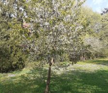 Germany Bayern Euerbach vacation rental compare prices direct by owner 4530926