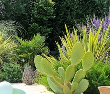 France Bourgogne-Franche-Comté Montagny-près-Louhans vacation rental compare prices direct by owner 7503159