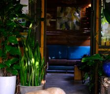Vietnam Hải Phòng Cát Hải vacation rental compare prices direct by owner 7994666
