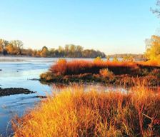 United States Ohio Waterville vacation rental compare prices direct by owner 10566518