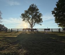 United States Kentucky Bardstown vacation rental compare prices direct by owner 12466472