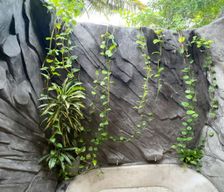 Sri Lanka Central Province Sigiriya vacation rental compare prices direct by owner 24201909