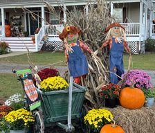 United States Virginia Williamsburg vacation rental compare prices direct by owner 24049980