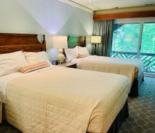 United States Virginia Williamsburg vacation rental compare prices direct by owner 25374556