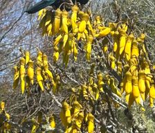 New Zealand Tasman Tasman District vacation rental compare prices direct by owner 27237929