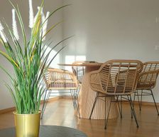 Switzerland Bern Thun vacation rental compare prices direct by owner 28712906