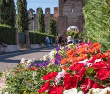 Italy VR (Verona) Lazise vacation rental compare prices direct by owner 27793080