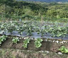 Philippines Central Visayas Inabanga vacation rental compare prices direct by owner 29042325