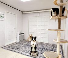 South Korea  Seoul vacation rental compare prices direct by owner 33666379