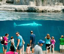 United States Connecticut Mystic vacation rental compare prices direct by owner 36285760