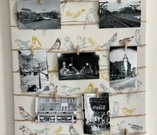 United States North Carolina Raleigh vacation rental compare prices direct by owner 38491121