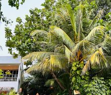 Maldives Baa Atoll Kamadhoo vacation rental compare prices direct by owner 13642163