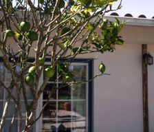 Portugal Lisboa São João das Lampas vacation rental compare prices direct by owner 4523076