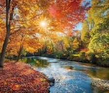 United States Vermont Dorset vacation rental compare prices direct by owner 11480415