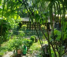 Georgia Tbilisi Tbilisi vacation rental compare prices direct by owner 24697063