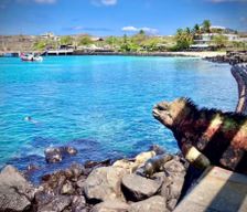 Ecuador Islas Galápagos Puerto Baquerizo Moreno vacation rental compare prices direct by owner 32287935