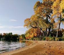 United States Minnesota Isle vacation rental compare prices direct by owner 33548484