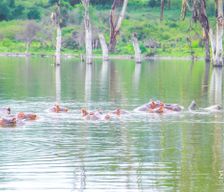 Kenya Nakuru County Kongoni vacation rental compare prices direct by owner 32963610